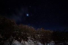 IMG_9952-強化-NR-大