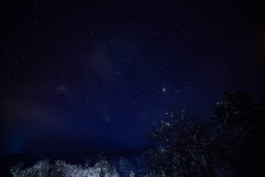 IMG_9973-強化-NR-大