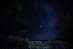 IMG_9987-強化-NR-大