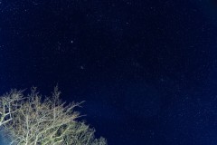 DSC09604-強化-NR-大