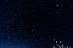 DSC09617-強化-NR-大