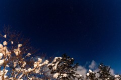 DSC00804-強化-NR-大