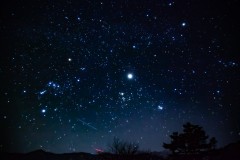 IMG_0084-強化-NR-大