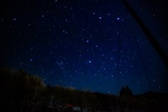 IMG_0103-強化-NR-大