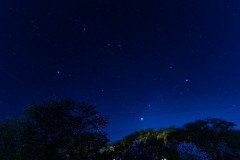 DSC05689-強化-NR-大