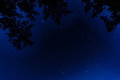 DSC06987-強化-NR-大