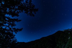 DSC06988-強化-NR-大