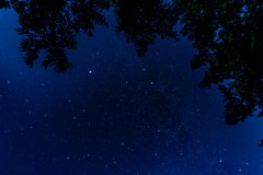 DSC06991-強化-NR-大