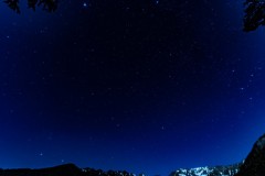 DSC06992-強化-NR-大