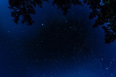 DSC06993-強化-NR-大